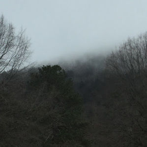 Meet your Posher, Larry